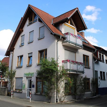 라우다코니그쇼펜 Haus Haas Zimmer&Fewo 아파트 외부 사진